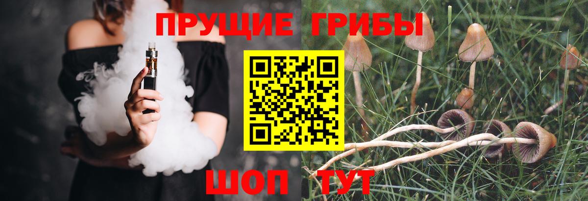 Галлюциногенные грибы Psilocybe  Вход с VPN  Севастополь 